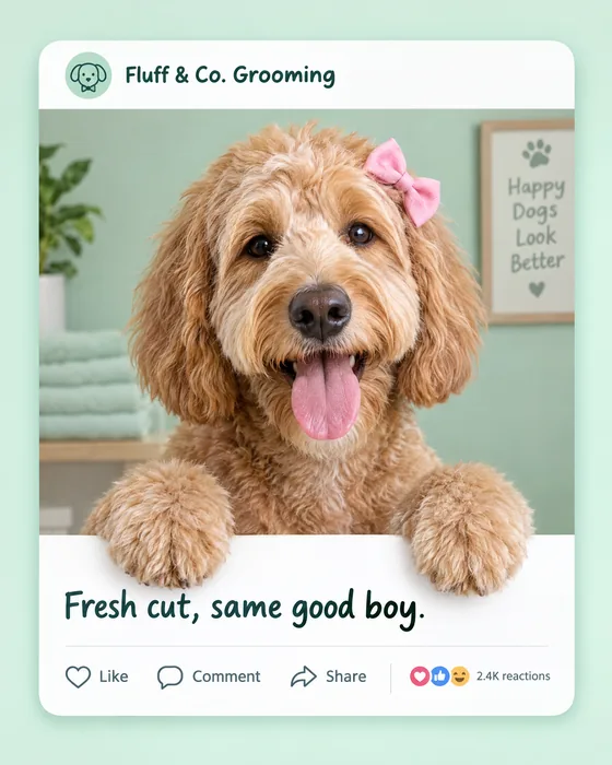 Fluff and Co. Grooming, Facebook post: a freshly groomed dog leans out of the frame
